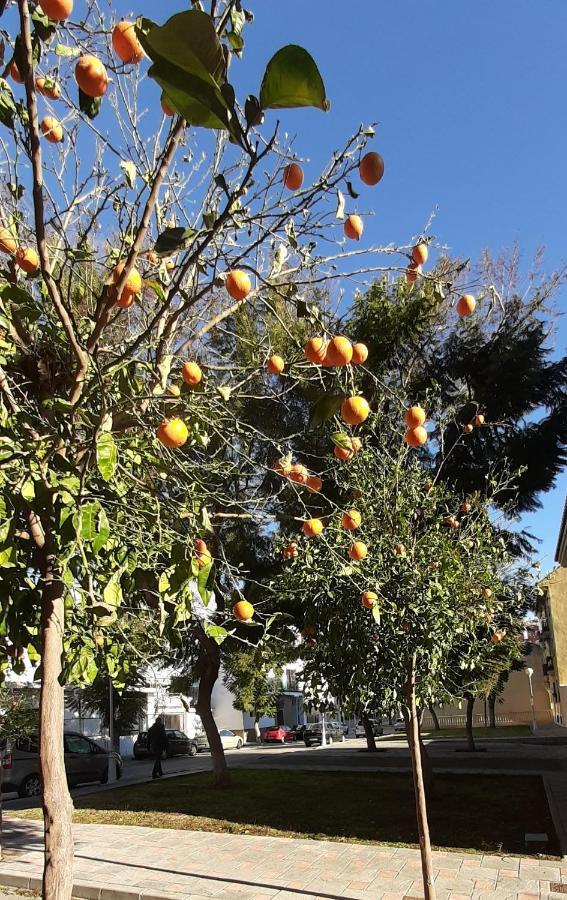 Valinor Apartments Boliches فوينخيرولا المظهر الخارجي الصورة